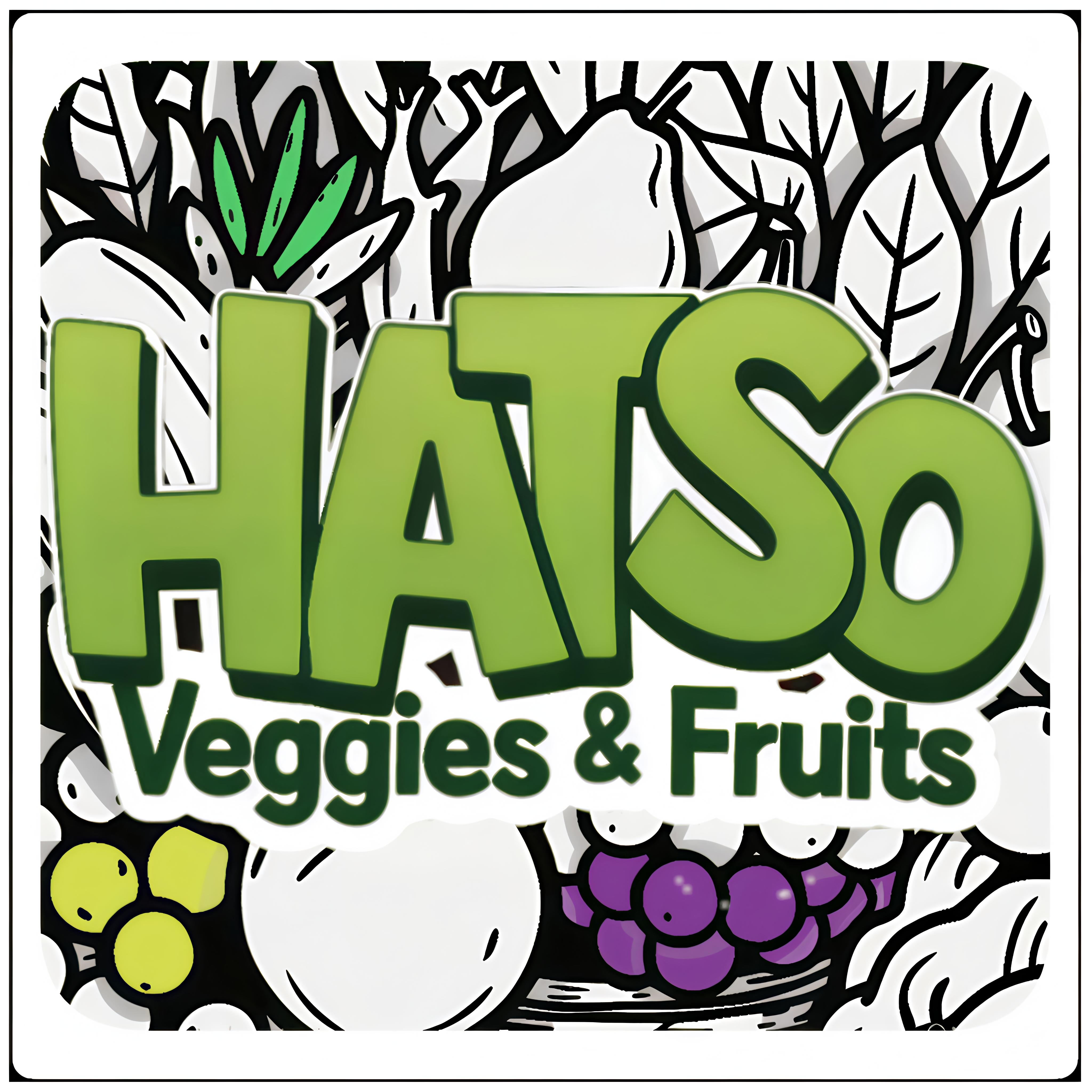 HATSO Logo